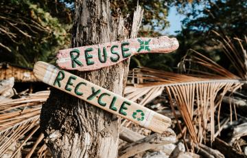 Plogging Challenge Portugal