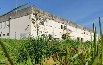 S. João de Loure Primary School